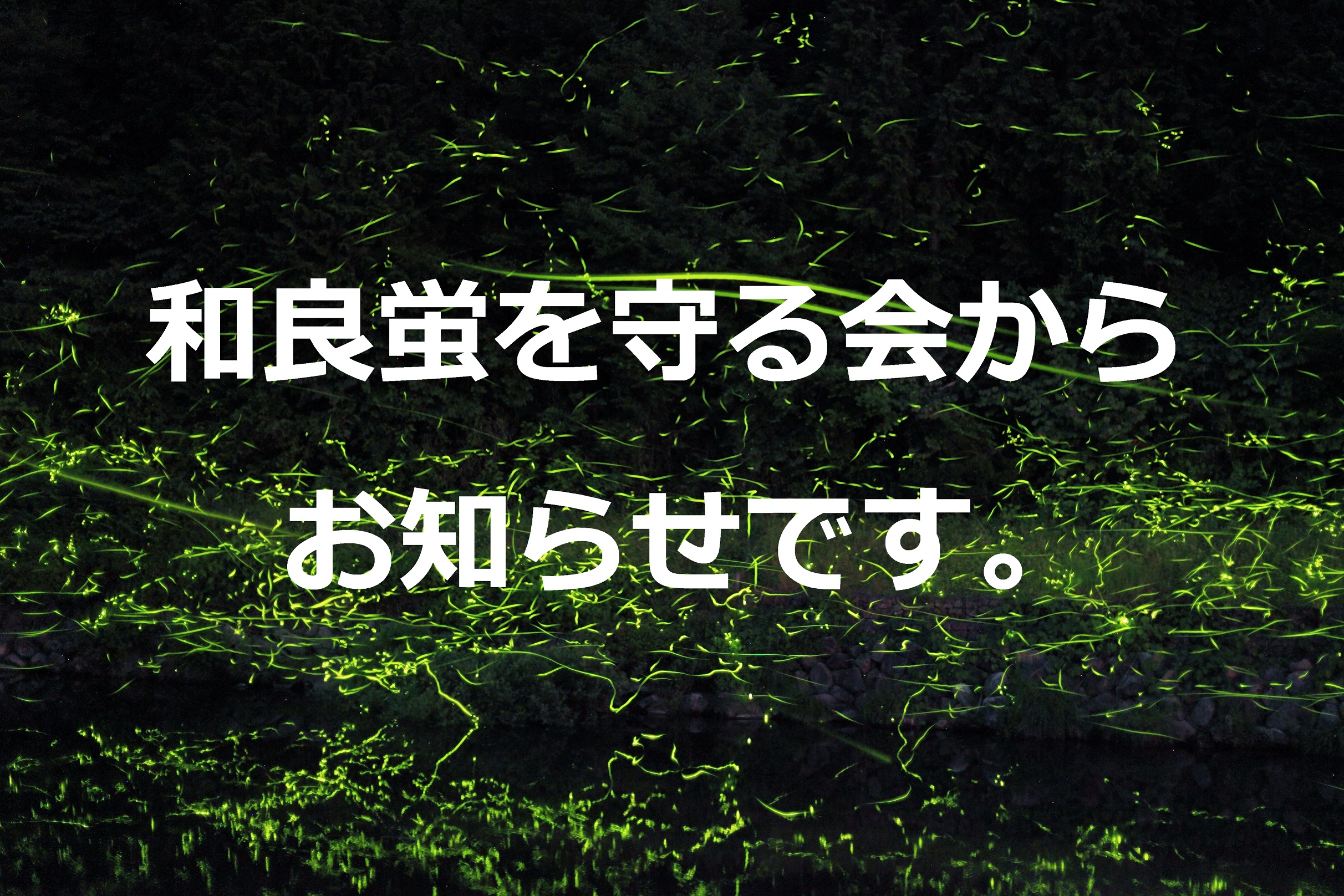 和良蛍を守る会
